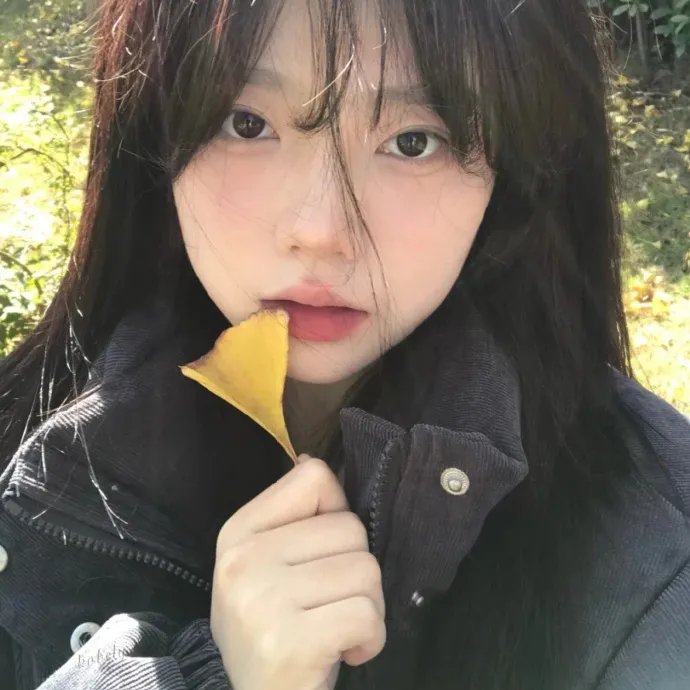 扭计大贼